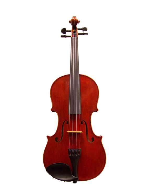 Violin store rental cost